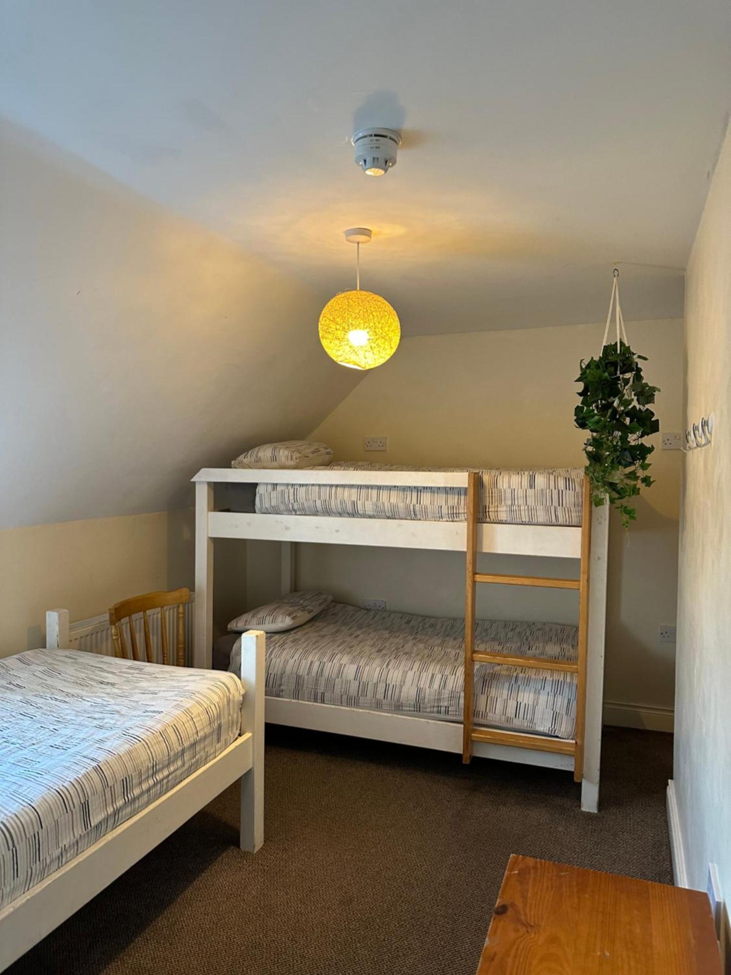 The Grapevine Hostel Дингъл Екстериор снимка